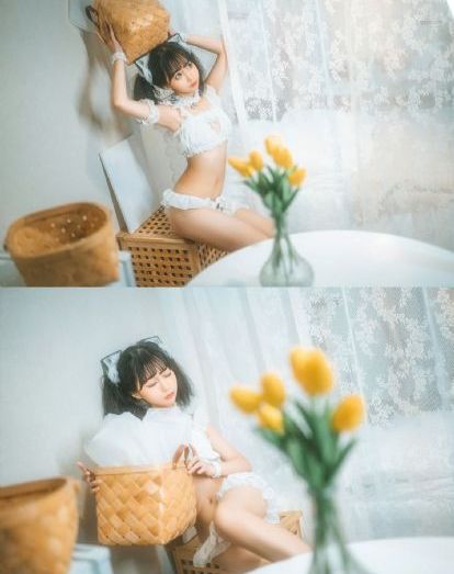 《森林里的熊先生》樱花动漫