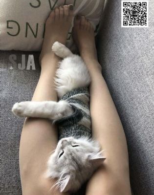 在线观看天堂