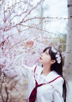 诸天纪第二季在线观看